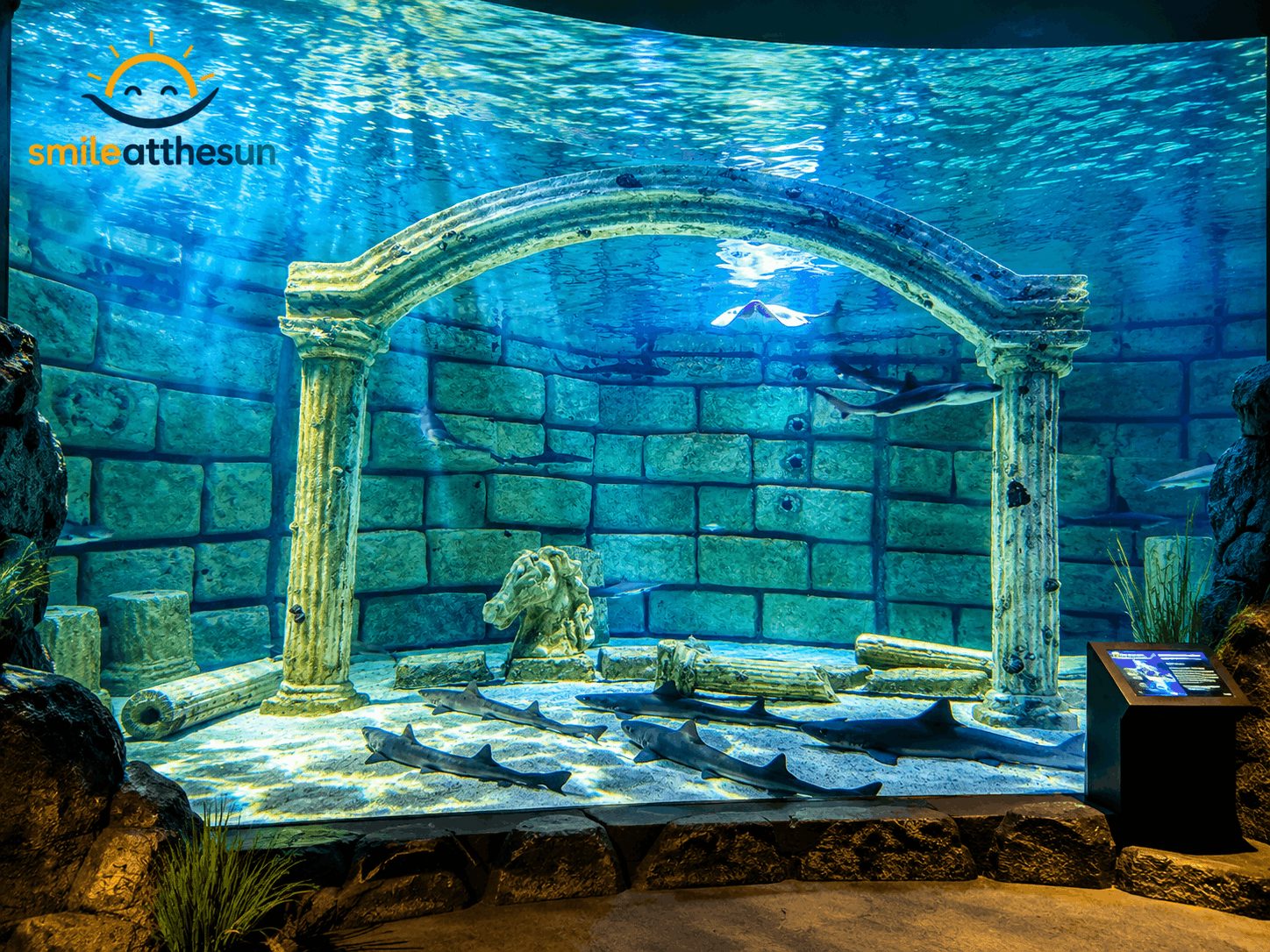 Antalya: Aquarium-Tour mit Hotelabholung & Kombi-Optionen thumbnail