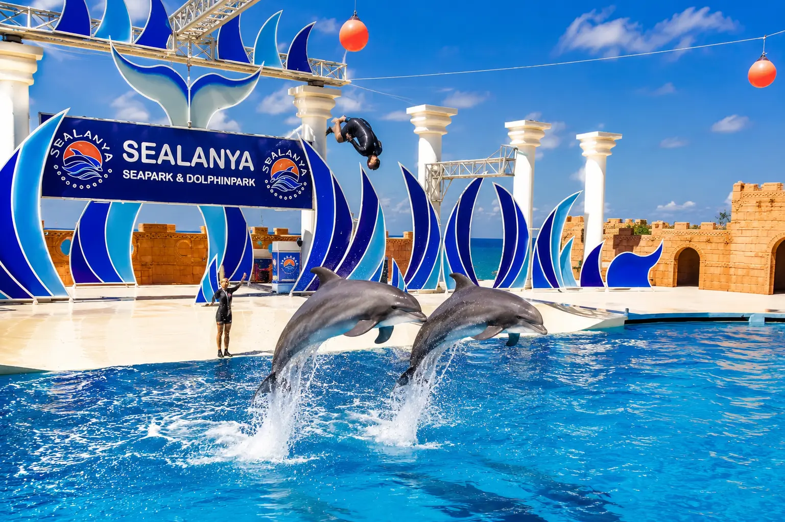 Sealanya Delfinshow ab Alanya & Side | Transfer inklusive thumbnail