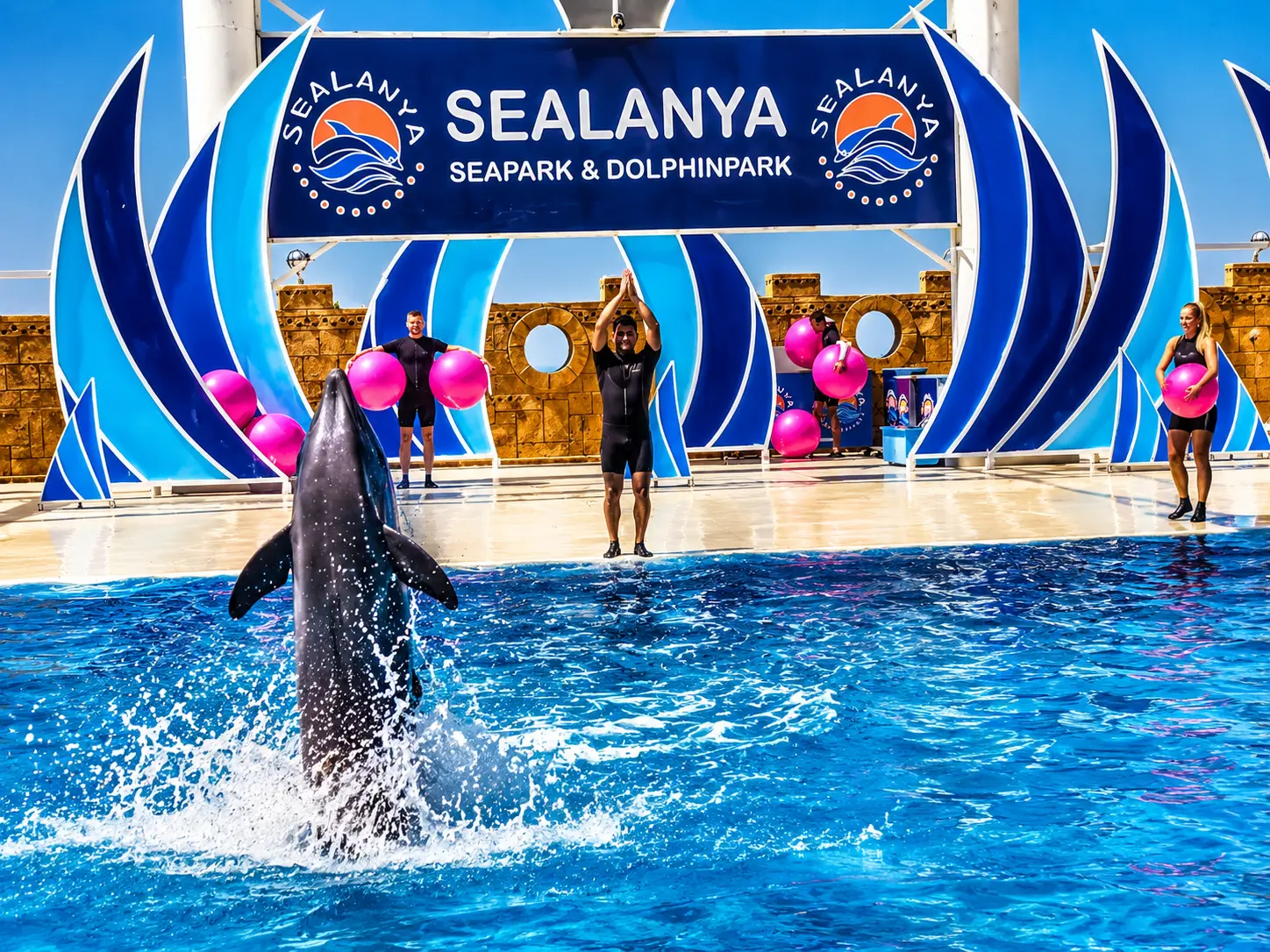 Sealanya Delfinshow ab Alanya & Side | Transfer inklusive thumbnail