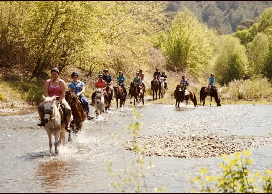 Horse Safari in Marmaris | Hotel Transfer Included thumbnail
