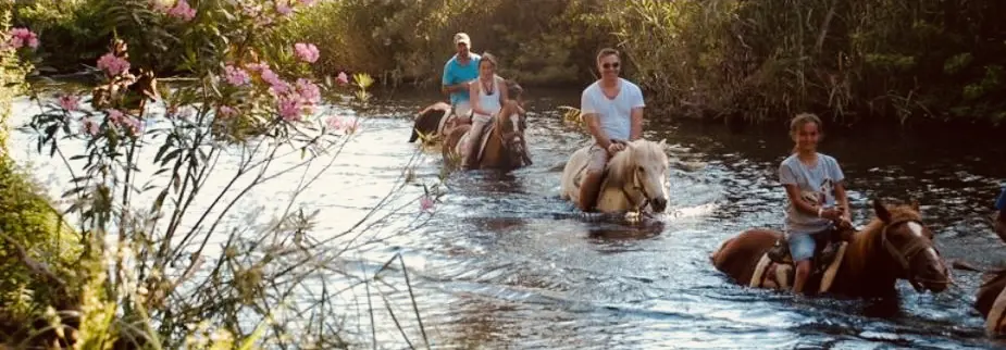 Horse Safari in Marmaris | Hotel Transfer Included thumbnail