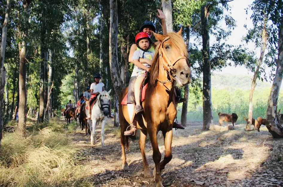 Horse Safari in Marmaris | Hotel Transfer Included thumbnail