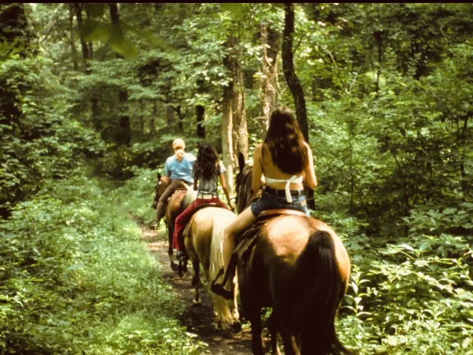 Horse Safari in Marmaris | Hotel Transfer Included thumbnail