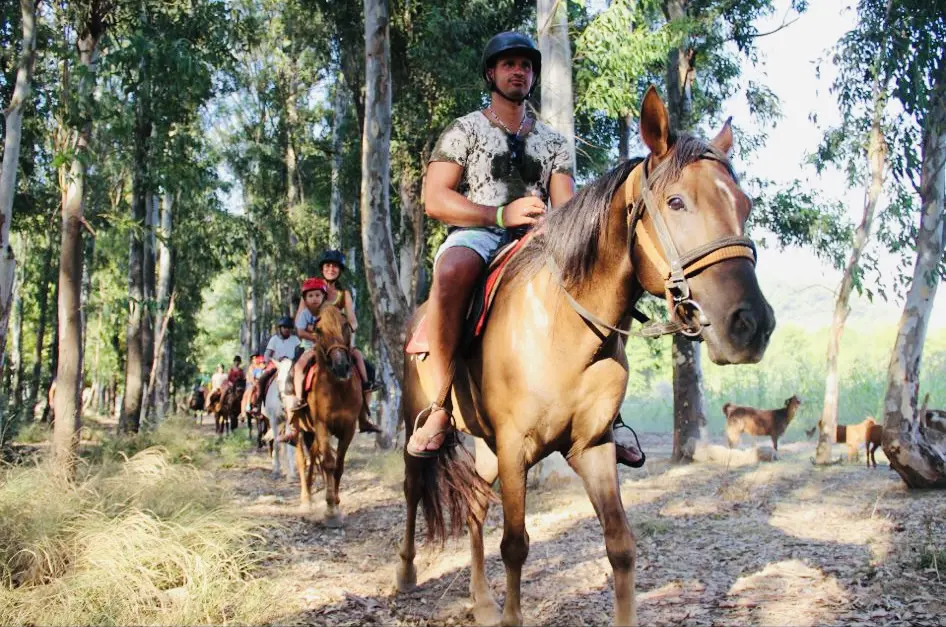 Horse Safari in Marmaris | Hotel Transfer Included thumbnail