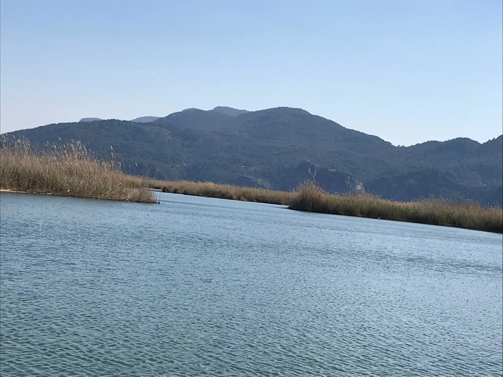 Marmaris Çıkışlı Otobüsle Köyceğiz Dalyan Turu | Dalyan Nehri Tekne Turu, Kaplumbağa Plajı ve Likya Kaya Mezarları thumbnail